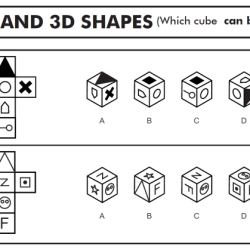 Basic plus test questions and answers