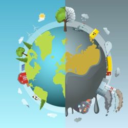 Human impact on the environment webquest