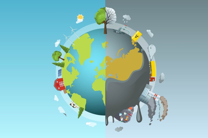 Human impact on the environment webquest