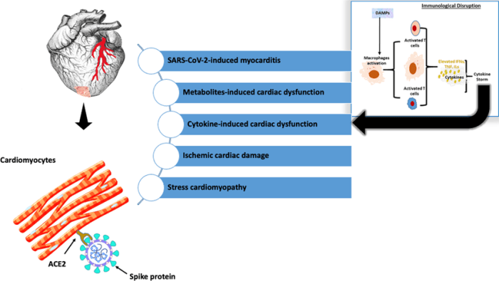 Hiv immune