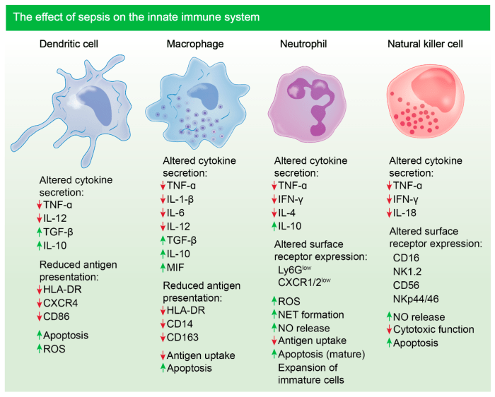 An abnormal heightened immune response is a characteristic of hiv.